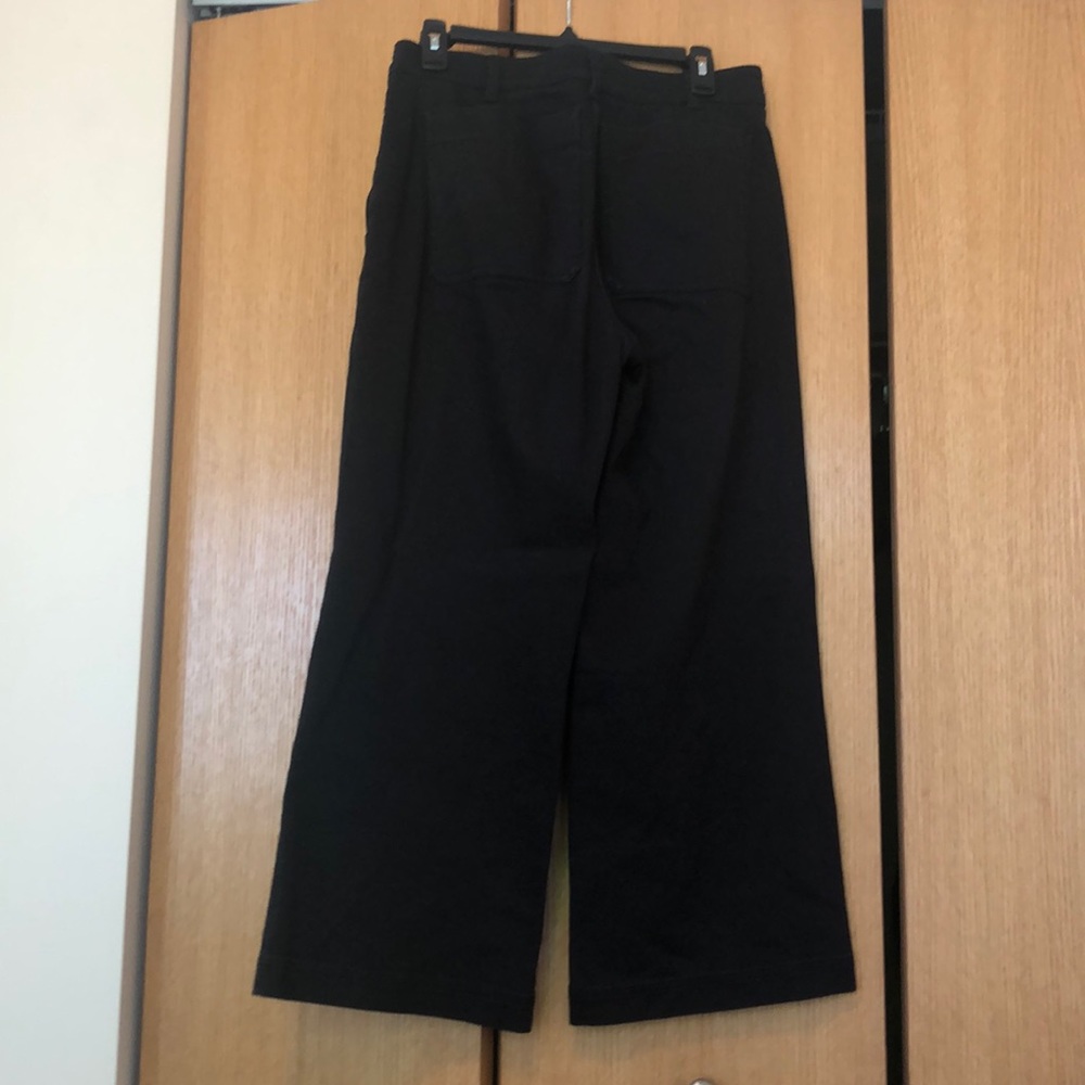 Everlane Wide Leg Crop Pants